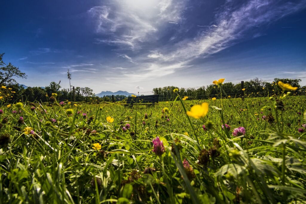 Dott. Cristiano Pedersini - Paesaggio naturale con cielo aperto, prospettiva di cambiamento e ascolto