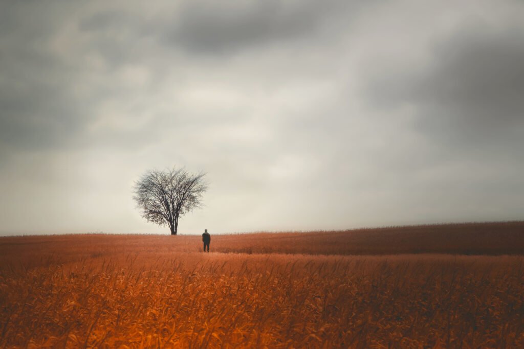 Dott. Cristiano Pedersini — Metafora visiva del disagio psicologico che spinge a chiedere aiuto: una persona solitaria si ferma di fronte a un albero spoglio in un paesaggio dominato da un cielo plumbeo, ma sovrastato da un prato colorato e vibrante, simbolo del potenziale e della speranza che attendono di essere accolti, coltivati e liberati in terapia.